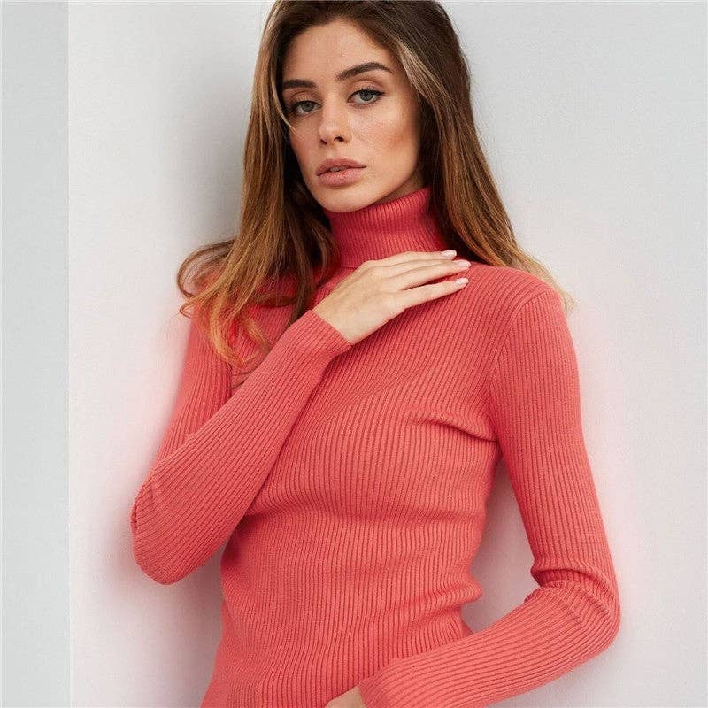 Alter'd Solid Color Turtleneck Knit Sweater