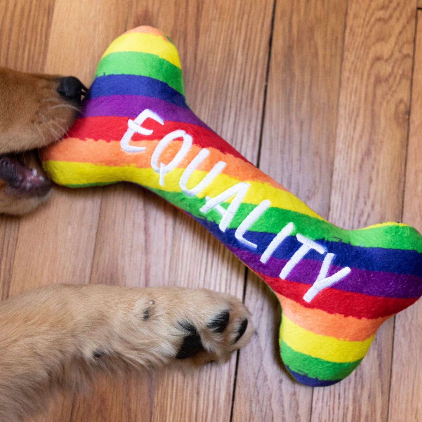 Pride Equality Bone Dog Toy
