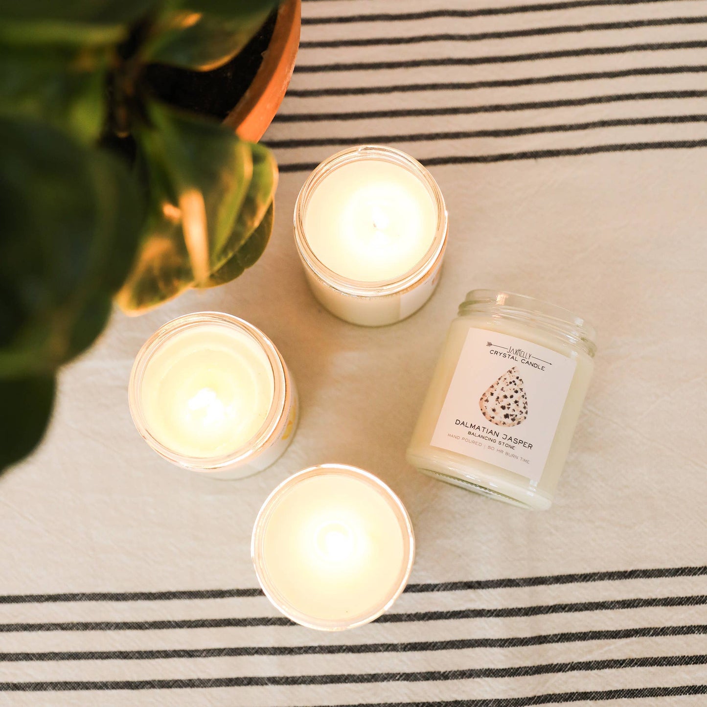 Jax Crystal Candles - Dalmatian Jasper