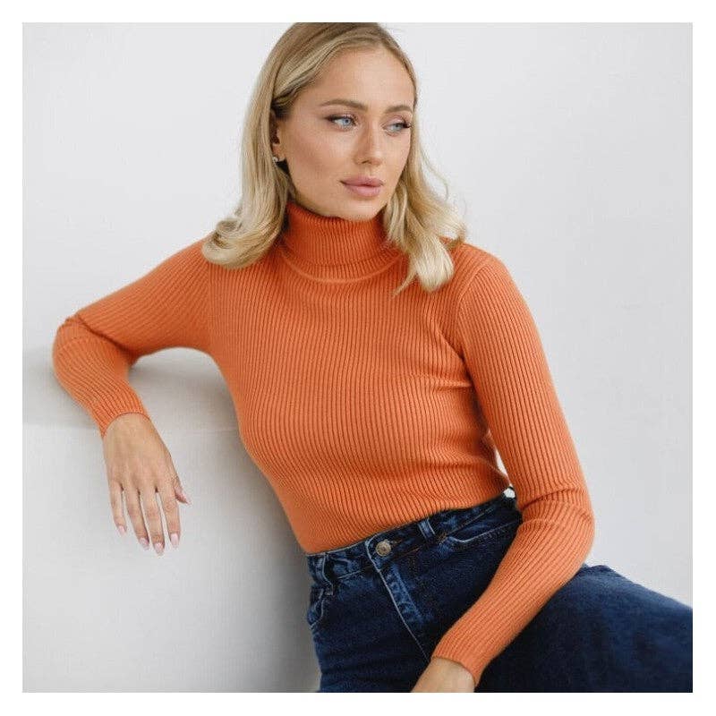 Alter'd Solid Color Turtleneck Knit Sweater