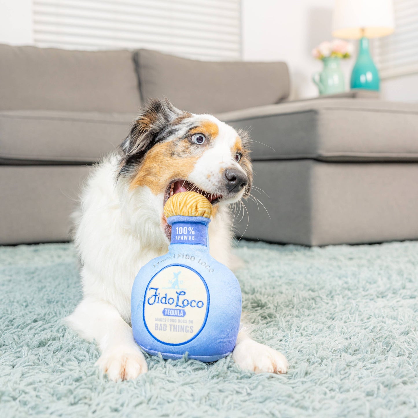 Fido Loco Tequila For Dogs