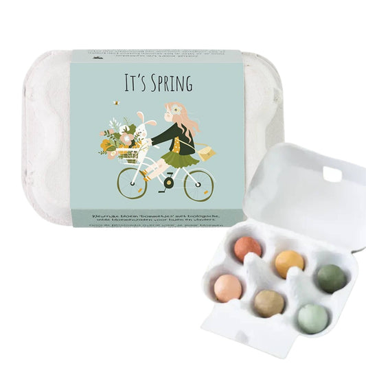 Buzzy Egg Carton It's Spring | Wildflower Seed Bombs | Gift Set