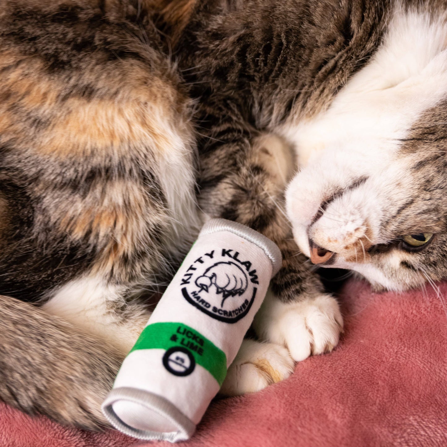 Kitty Klaw Licks & Lime for Cats