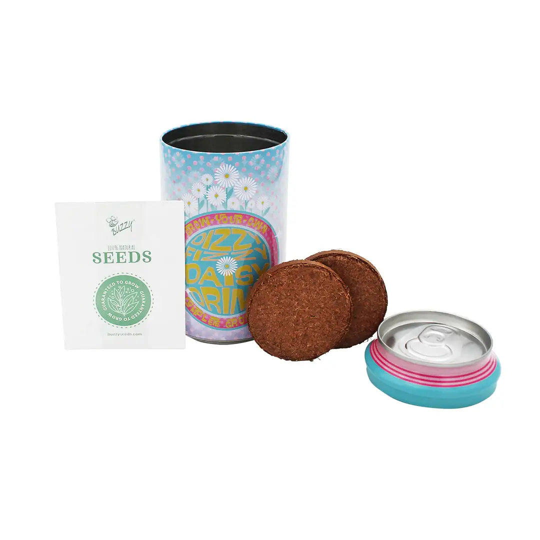 Buzzy Seeds Daisy Grow Kit | Soda Can Planter | Indoor Gardening Kit 