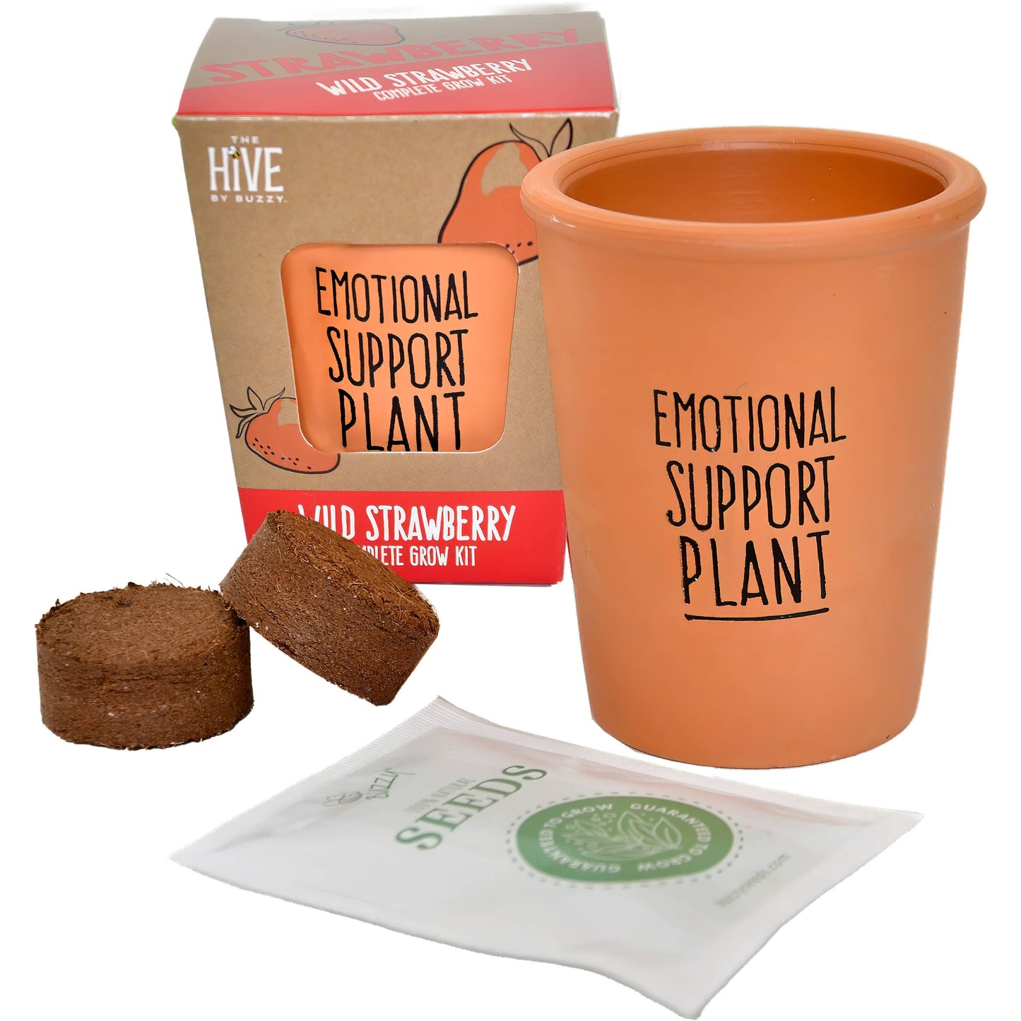 Buzzy Inspirational Wild Strawberry Grow Kit – Holiday Garden Gift