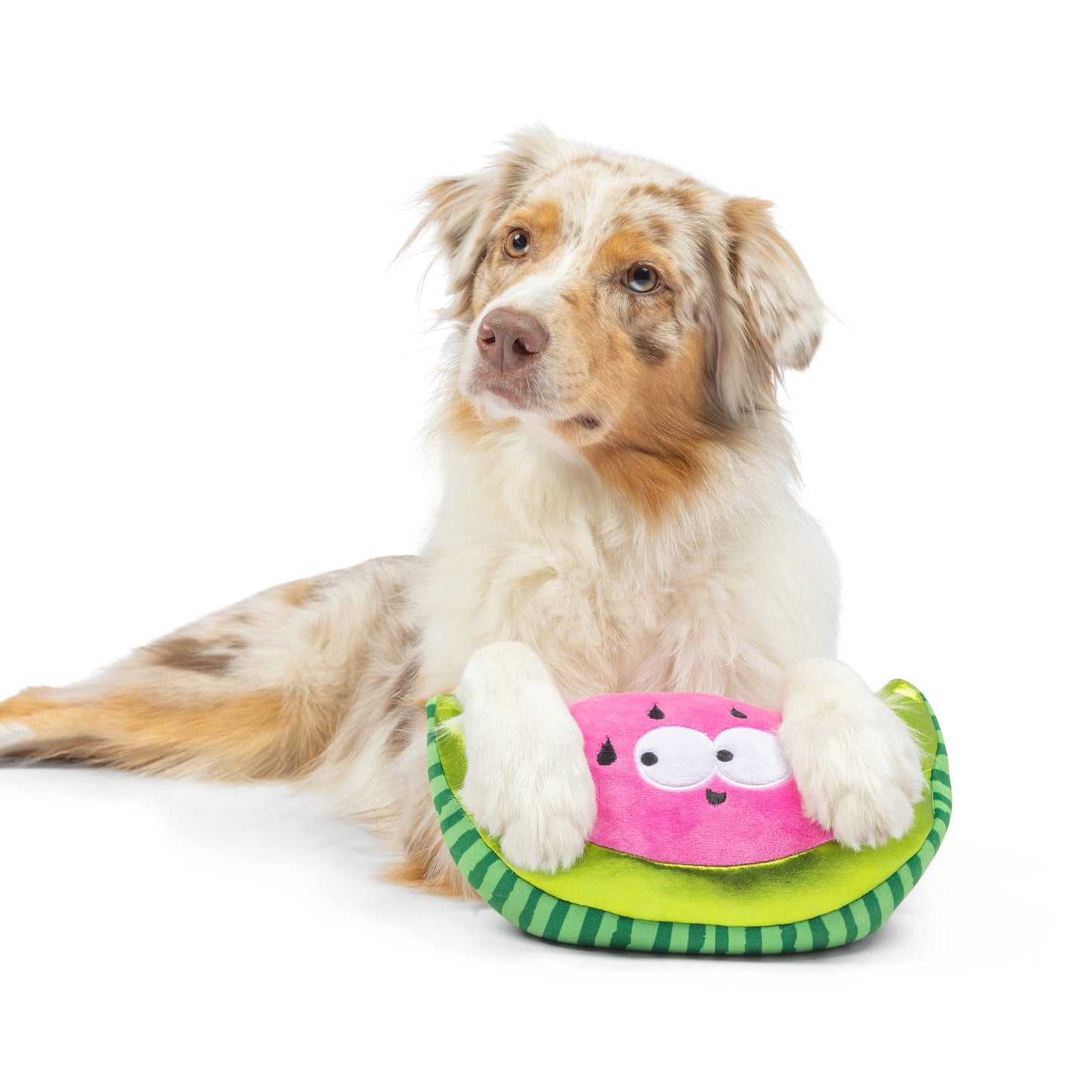 Fetchies® Walter Melon Dog Toy