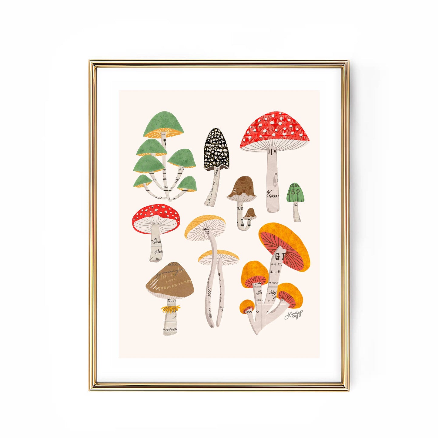 Mushrooms Illustration - Art Print