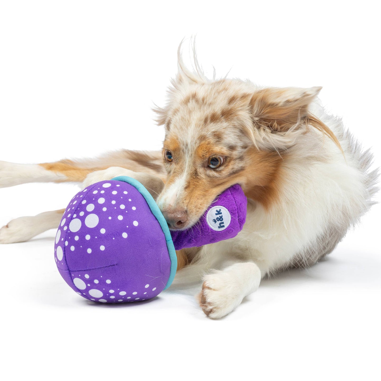 Fetchies® Mellow Mushroom Dog Toy
