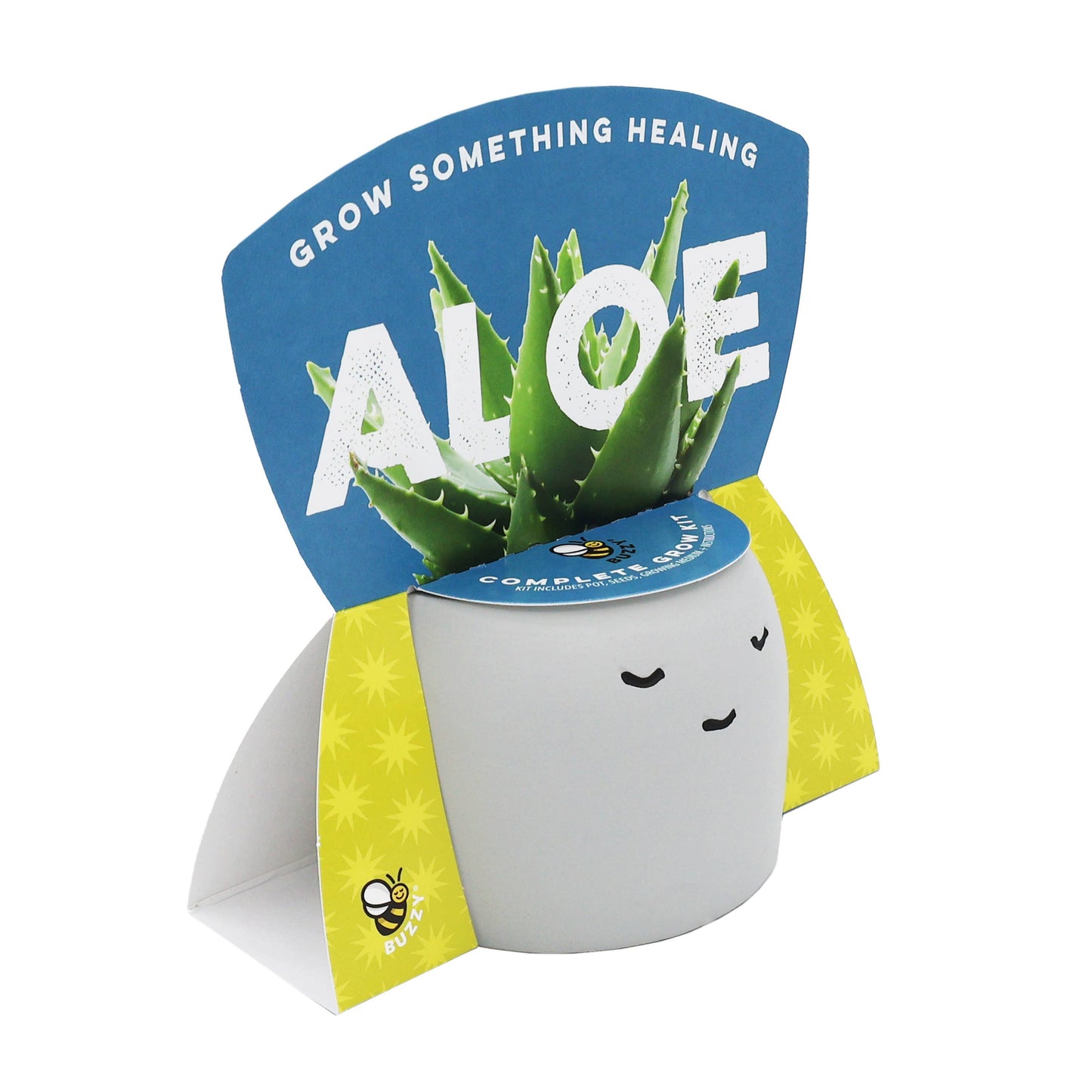 Buzzy Peaceful Pots 3pk | Indoor Herb & Succulent | Zen Garden