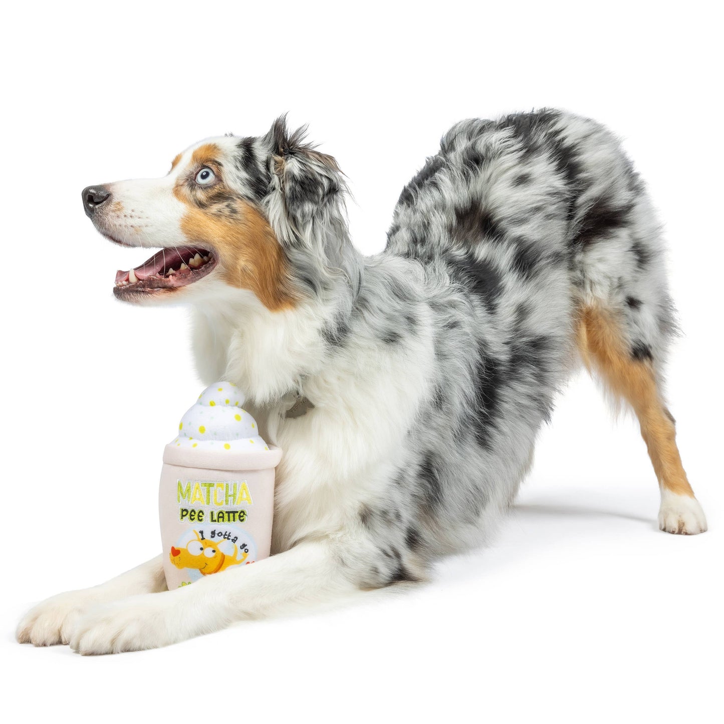 Matcha Pee Latte Dog Toy (Double Sided)