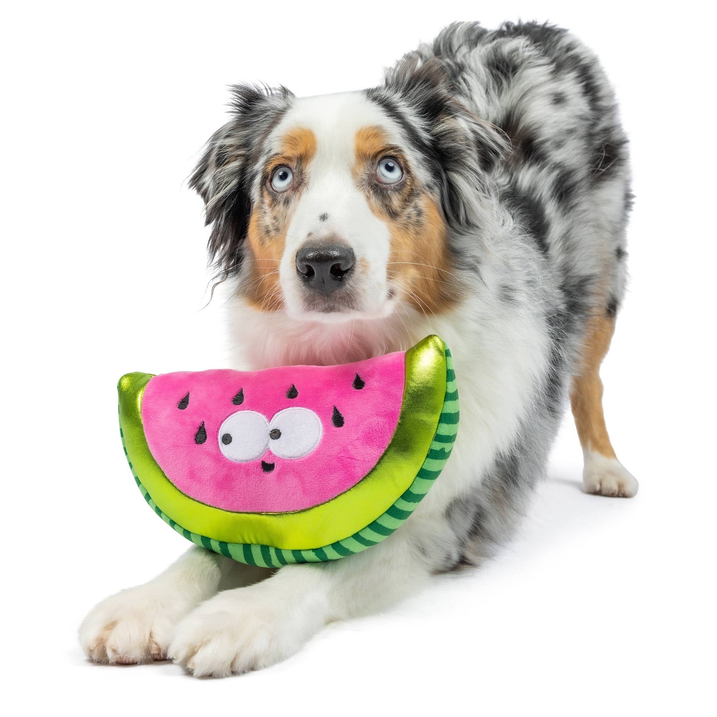 Fetchies® Walter Melon Dog Toy