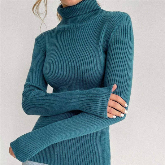 Alter'd Solid Color Turtleneck Knit Sweater