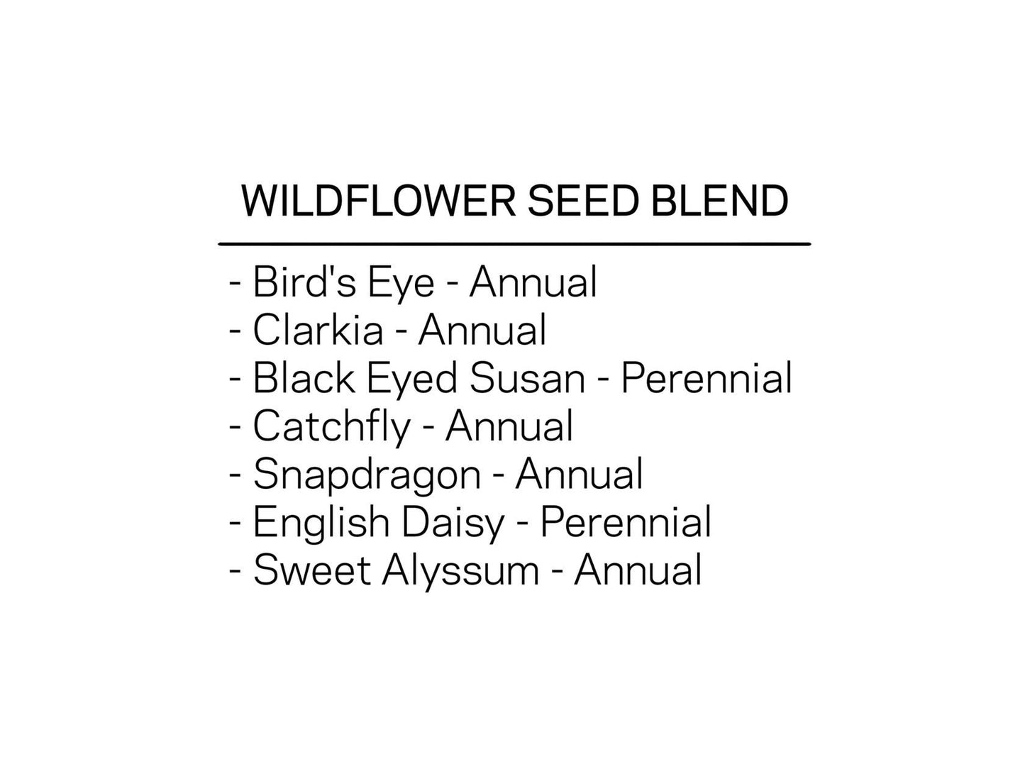 Studio 82 Mini Wildflower Seed Confetti