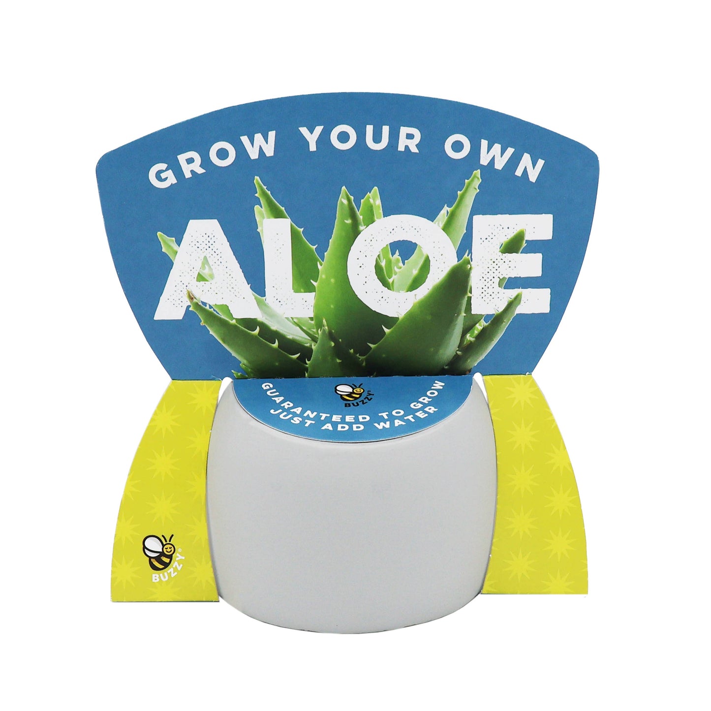 Buzzy Peaceful Pots 3pk | Indoor Herb & Succulent | Zen Garden