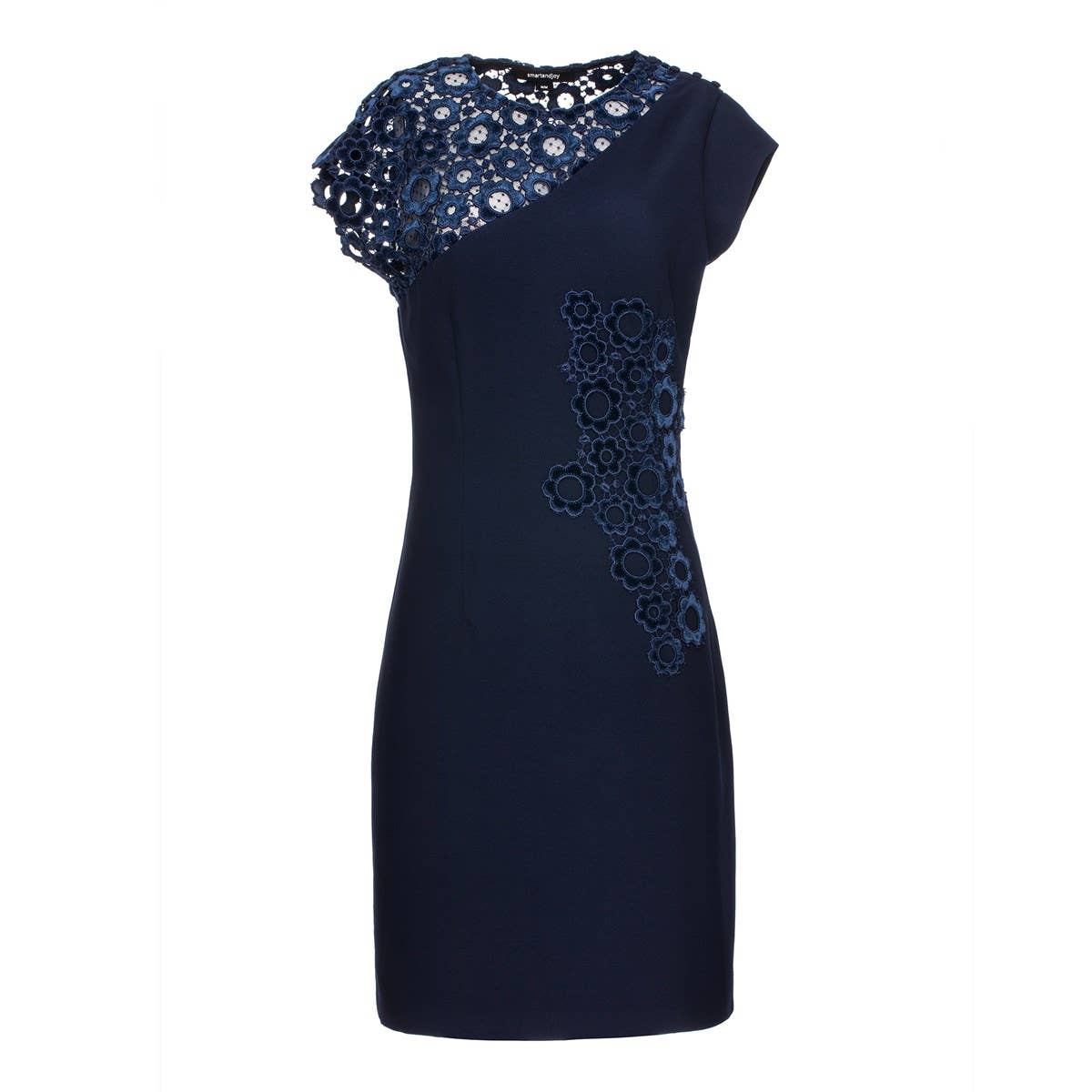 Smart Fitted dress with velvet lace chiffon