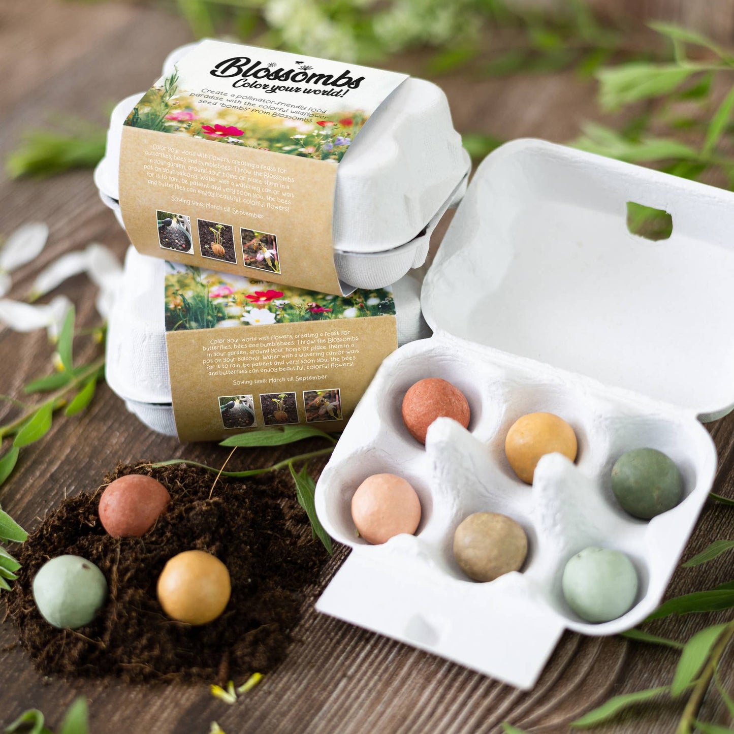 Buzzy Egg Carton It's Spring | Wildflower Seed Bombs | Gift Set