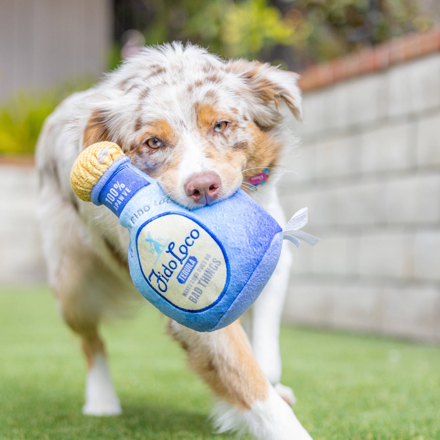 Fido Loco Tequila For Dogs