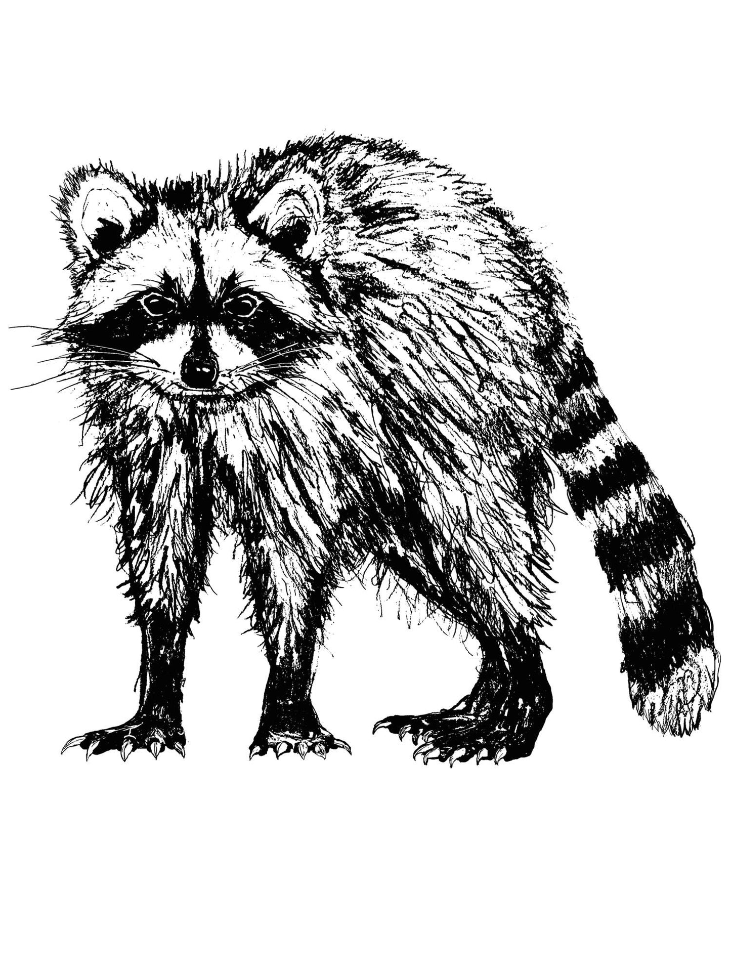 Supermaggie Raccoon Mandy Crop Hoodie