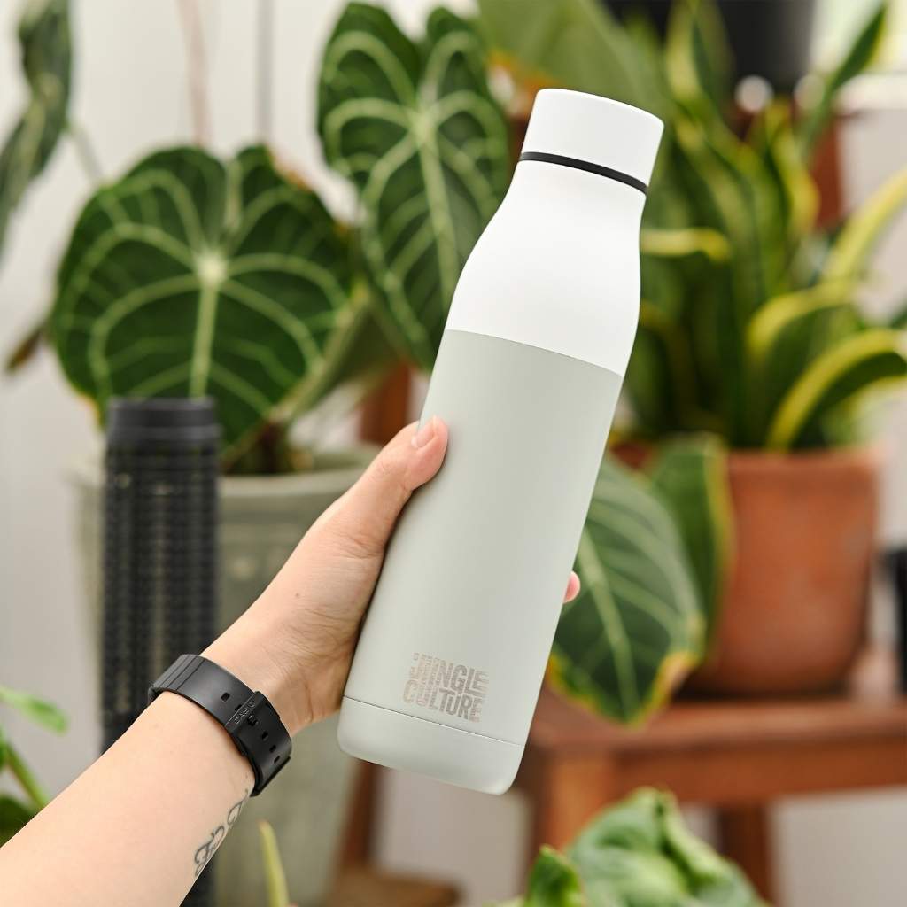 Jungle Reusable Stainless Steel Metal Water Bottles - 650ml