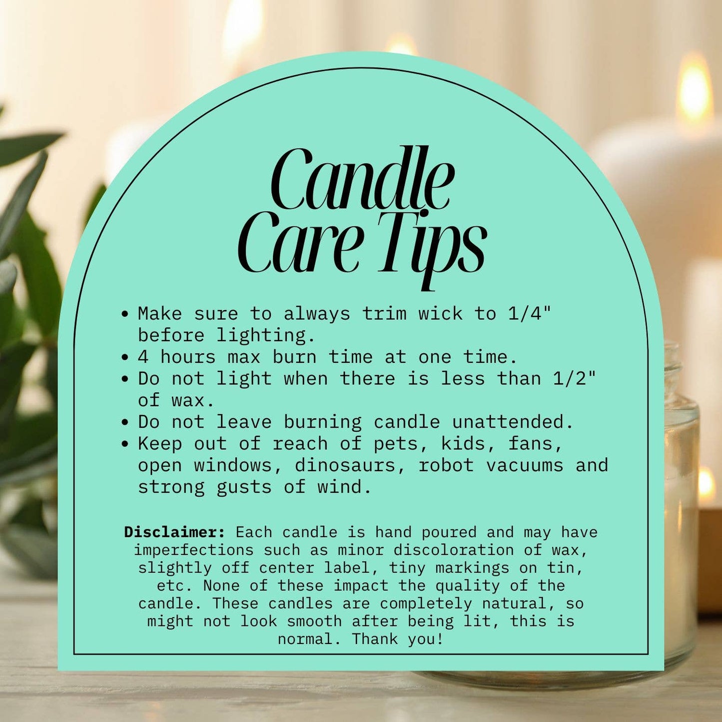 Moonlight When Life Gives You a Dumpster Fire - Funny Soy Candle 9oz