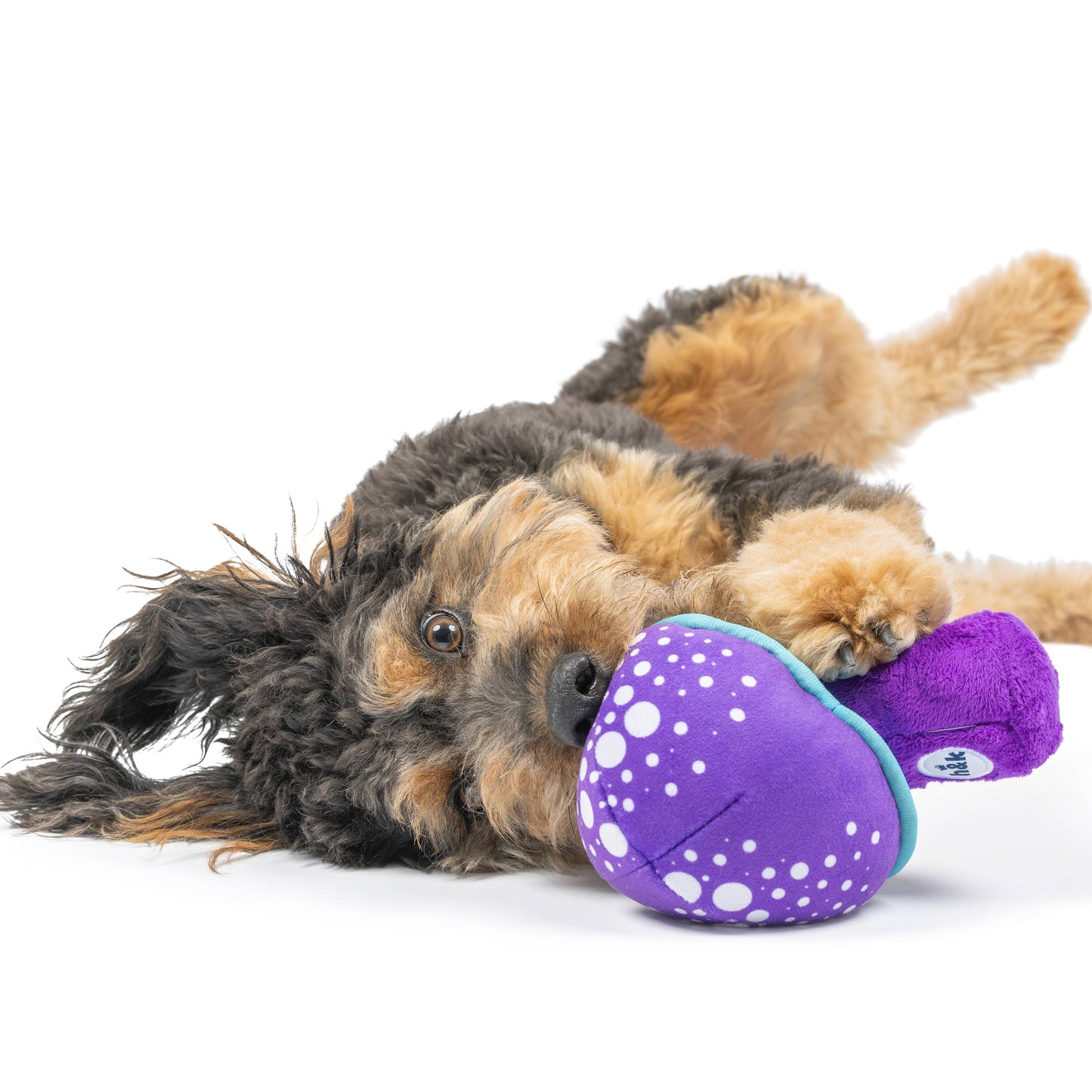 Fetchies® Mellow Mushroom Dog Toy