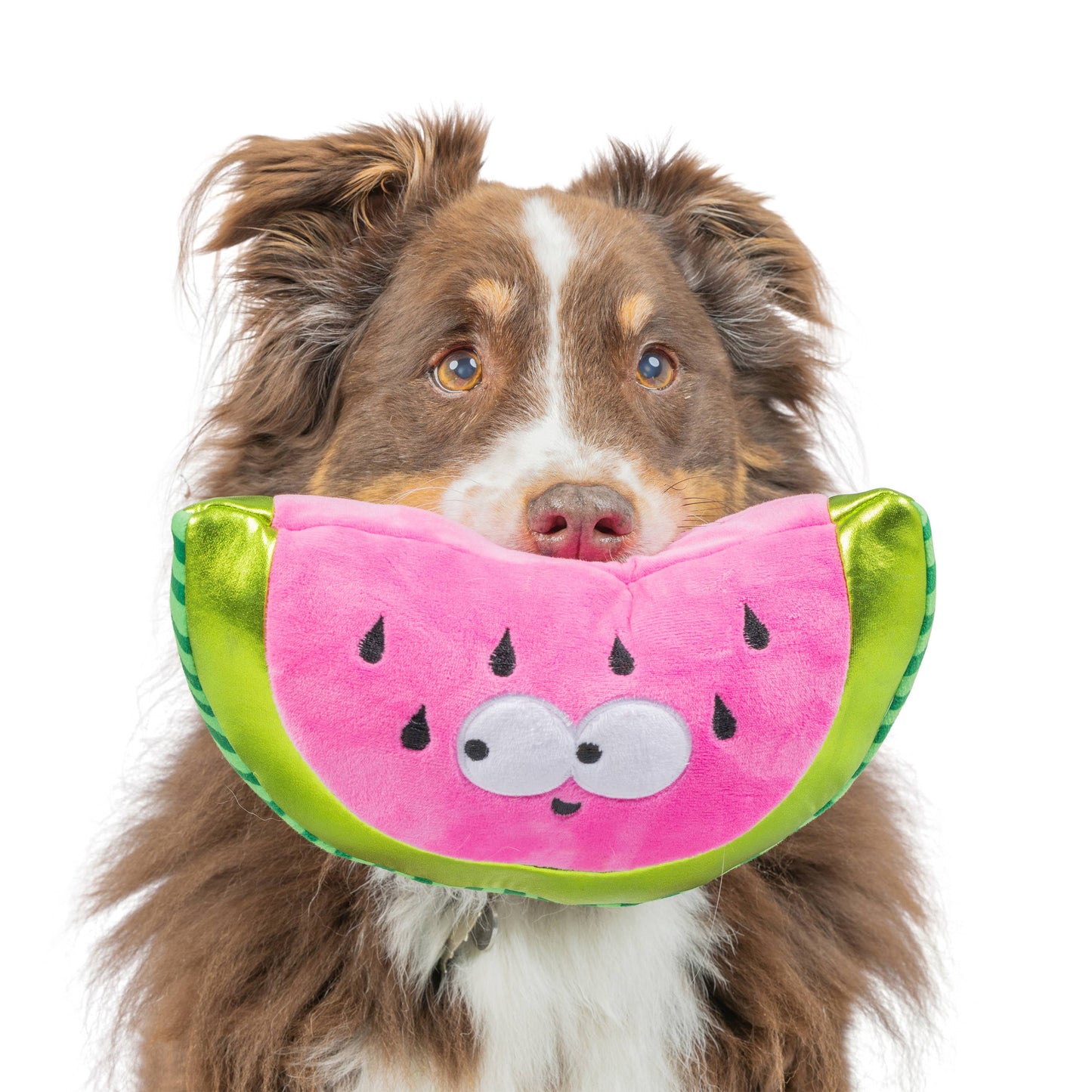 Fetchies® Walter Melon Dog Toy