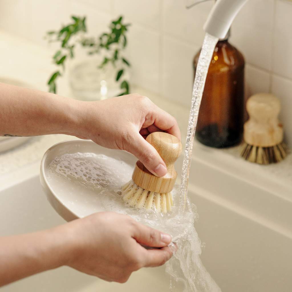 Jungle Bamboo Dish Brushes | Set of 2 Washing Up Scrubbing Brushes