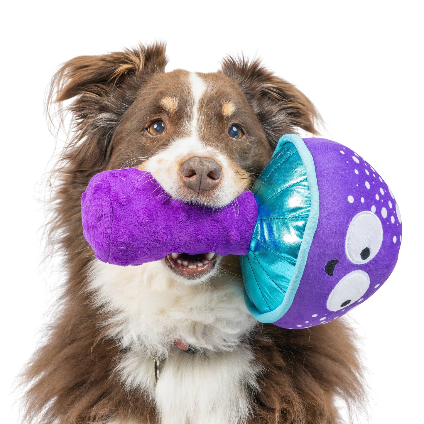 Fetchies® Mellow Mushroom Dog Toy