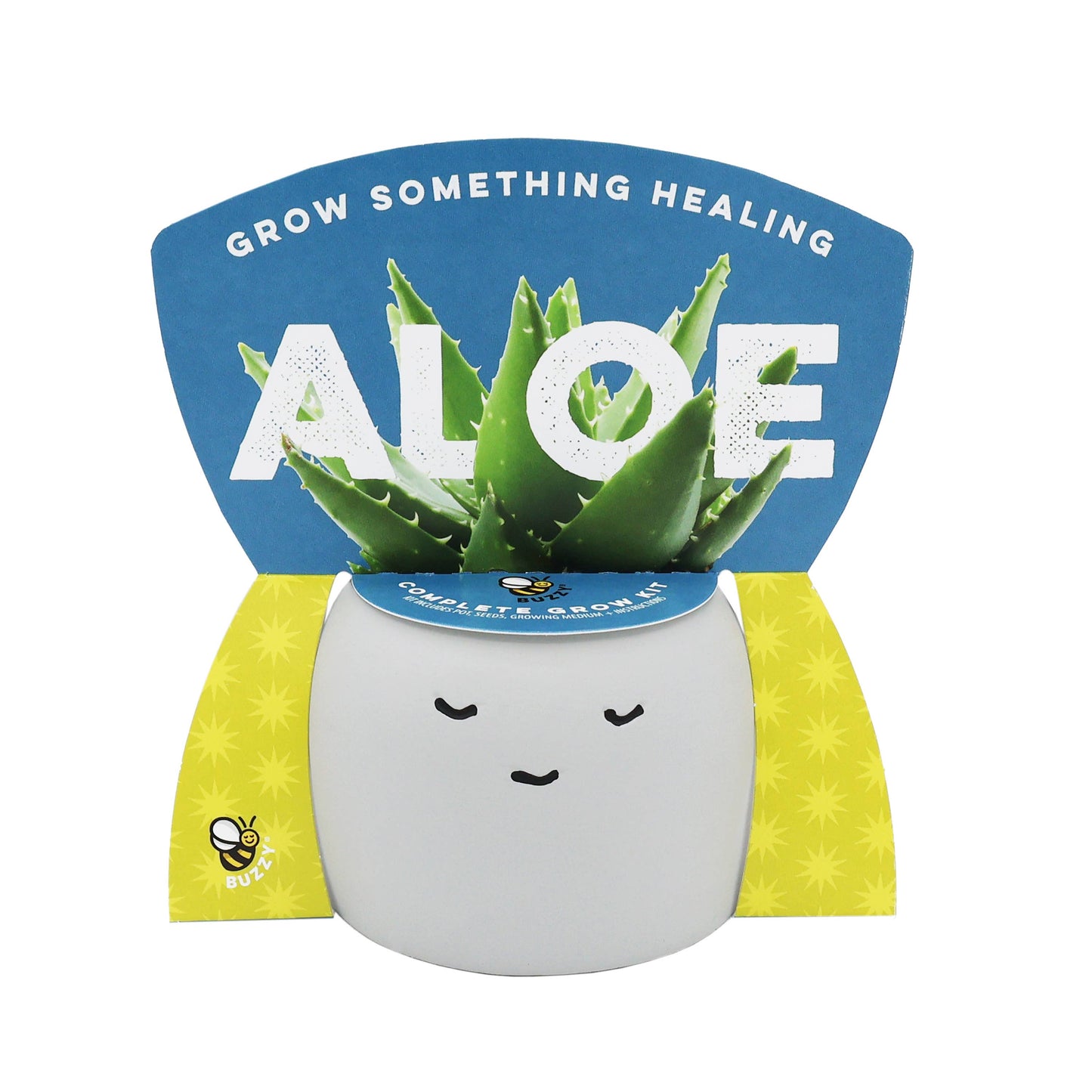 Buzzy Peaceful Pots 3pk | Indoor Herb & Succulent | Zen Garden