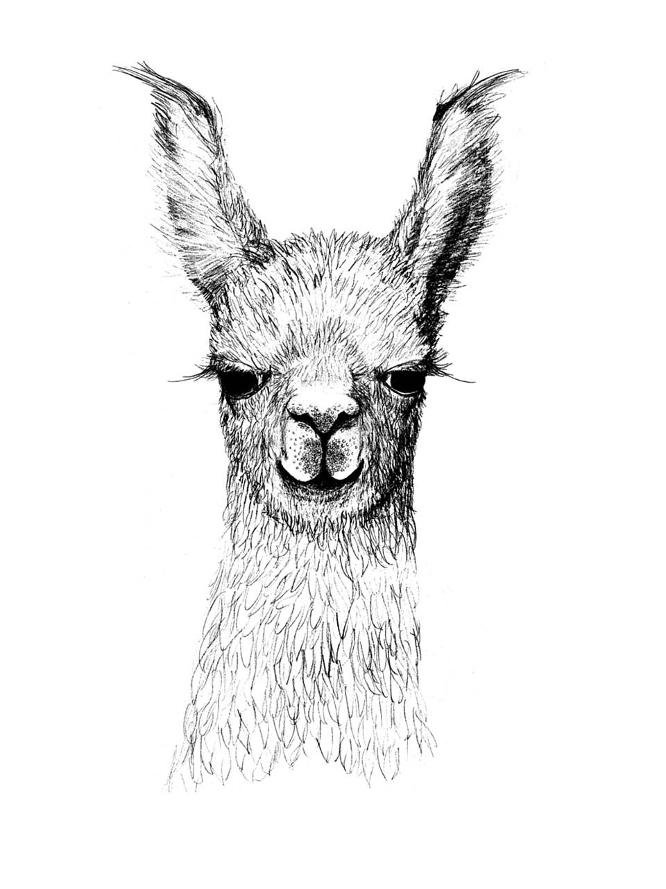 Supermaggie Llama Babe Baby Doll Tee
