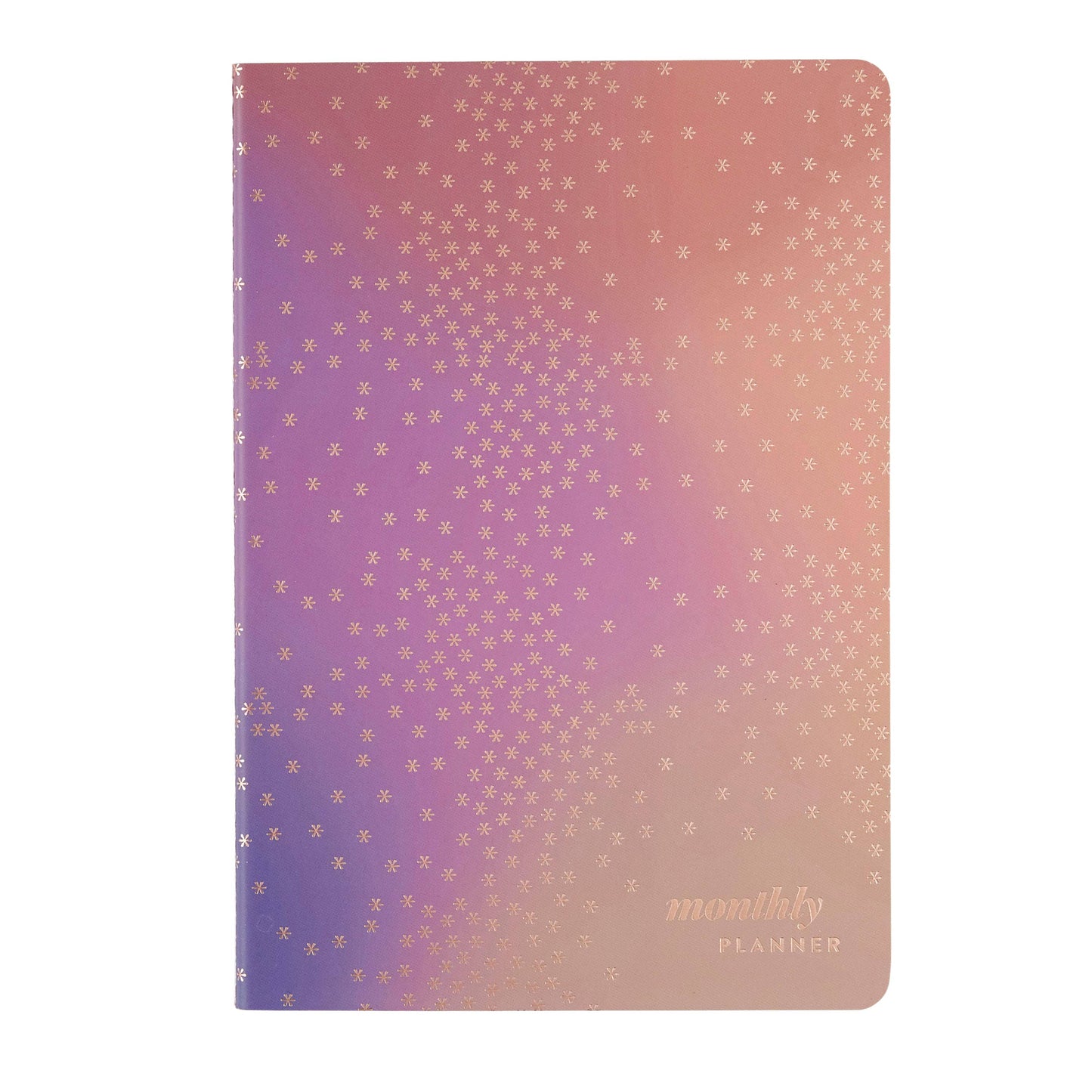 Erin Condren Undated 12M Monthly Petite Planner - Canvas/Asterisk