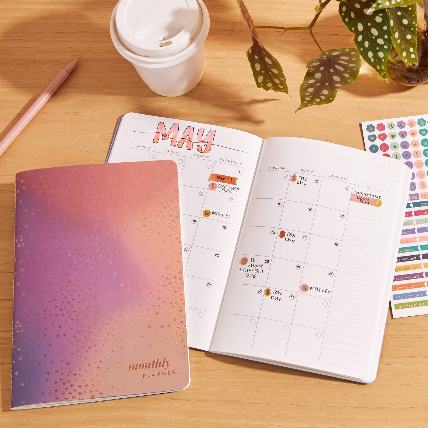 Erin Condren Undated 12M Monthly Petite Planner - Canvas/Asterisk