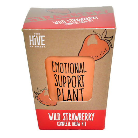 Buzzy Inspirational Wild Strawberry Grow Kit – Holiday Garden Gift