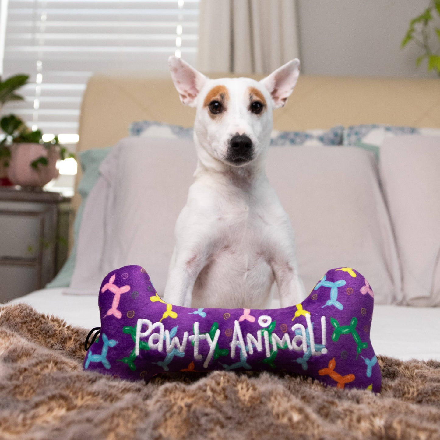 Pawty Animal Bone For Dogs