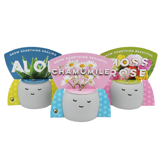 Buzzy Peaceful Pots 3pk | Indoor Herb & Succulent | Zen Garden