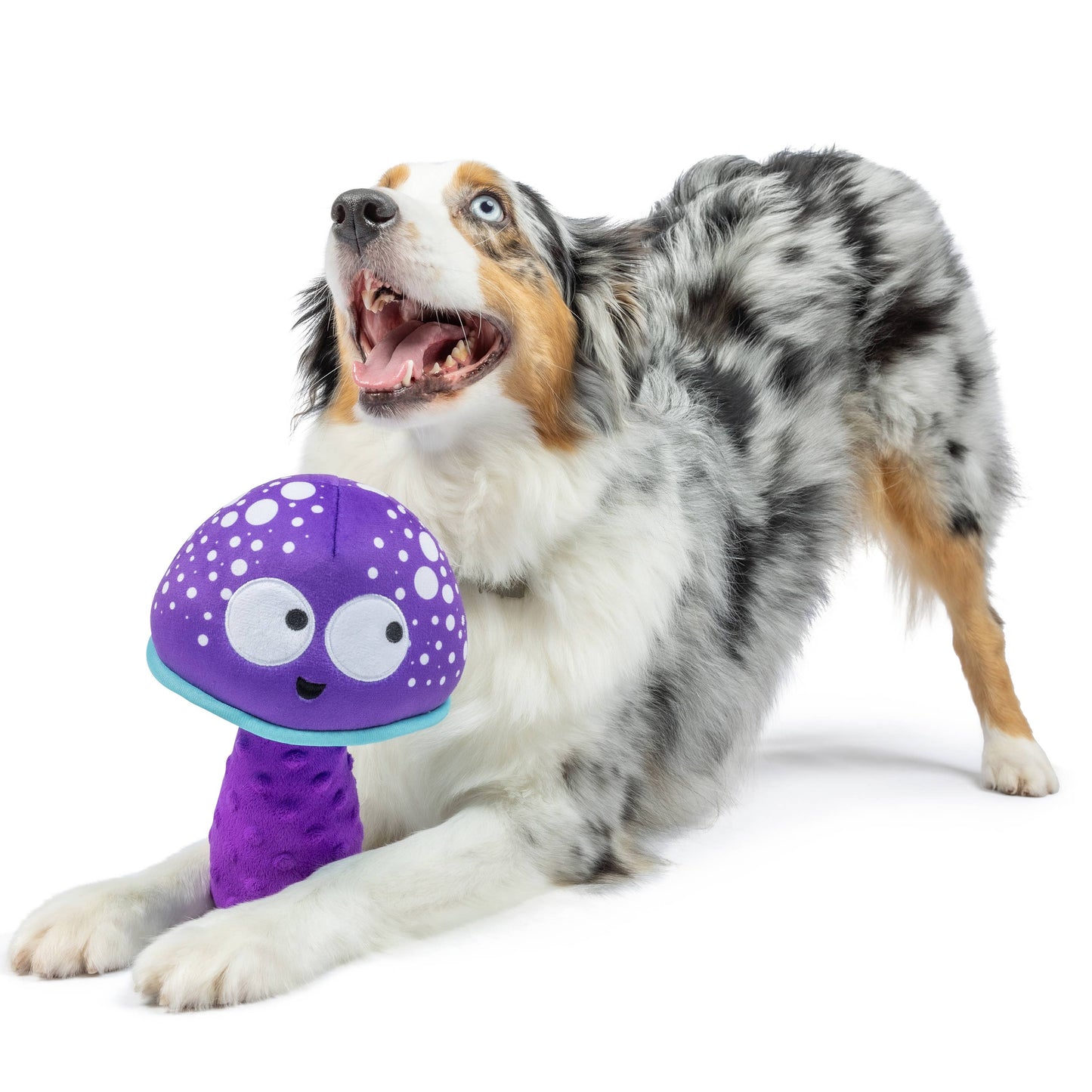Fetchies® Mellow Mushroom Dog Toy