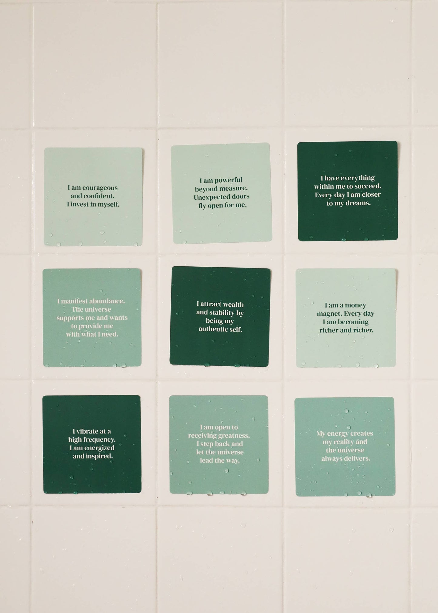 JAX Shower Affirmation™ Display Cards - Abundance