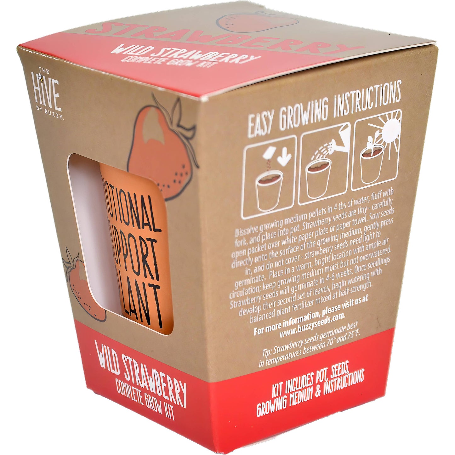 Buzzy Inspirational Wild Strawberry Grow Kit – Holiday Garden Gift