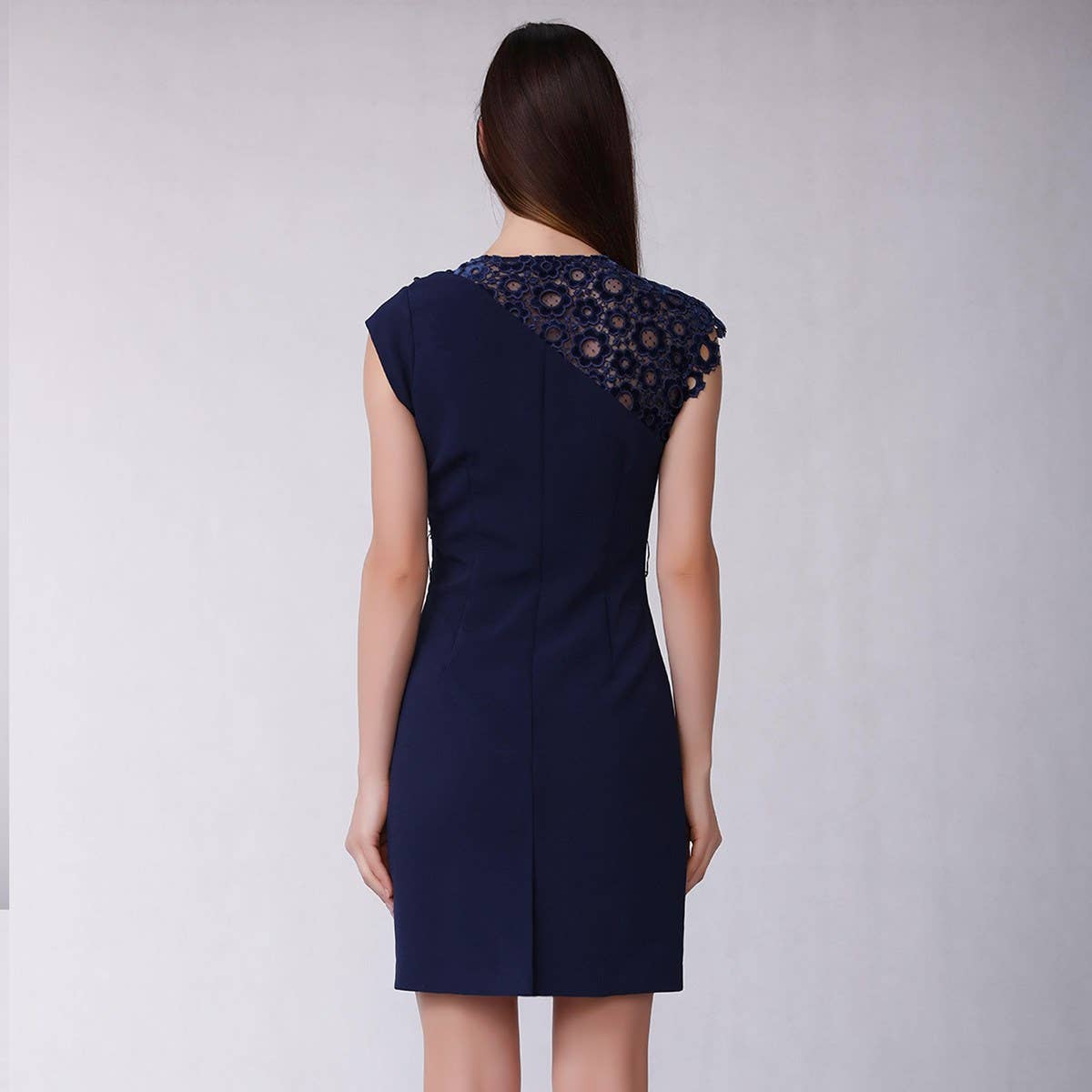 Smart Fitted dress with velvet lace chiffon