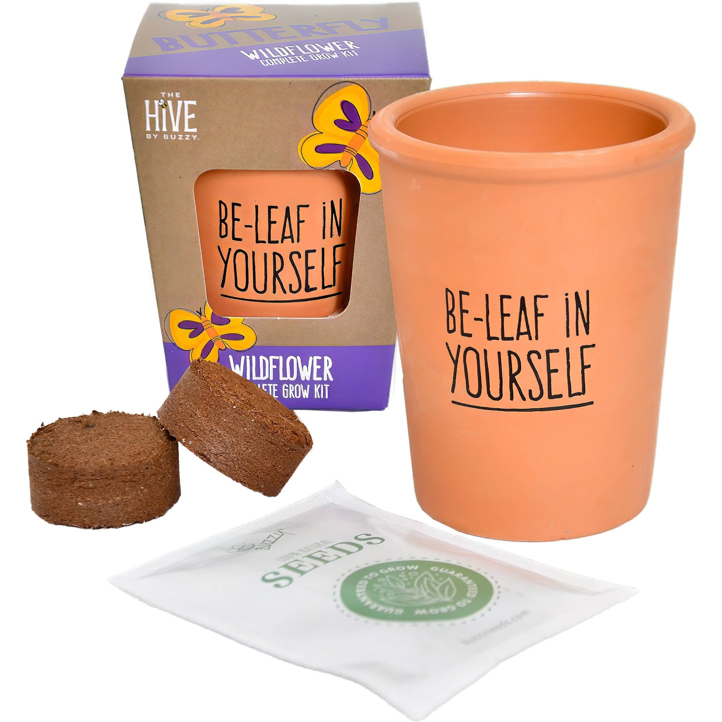 Inspirational Wildflower Complete Grow Kit – Indoor Gift