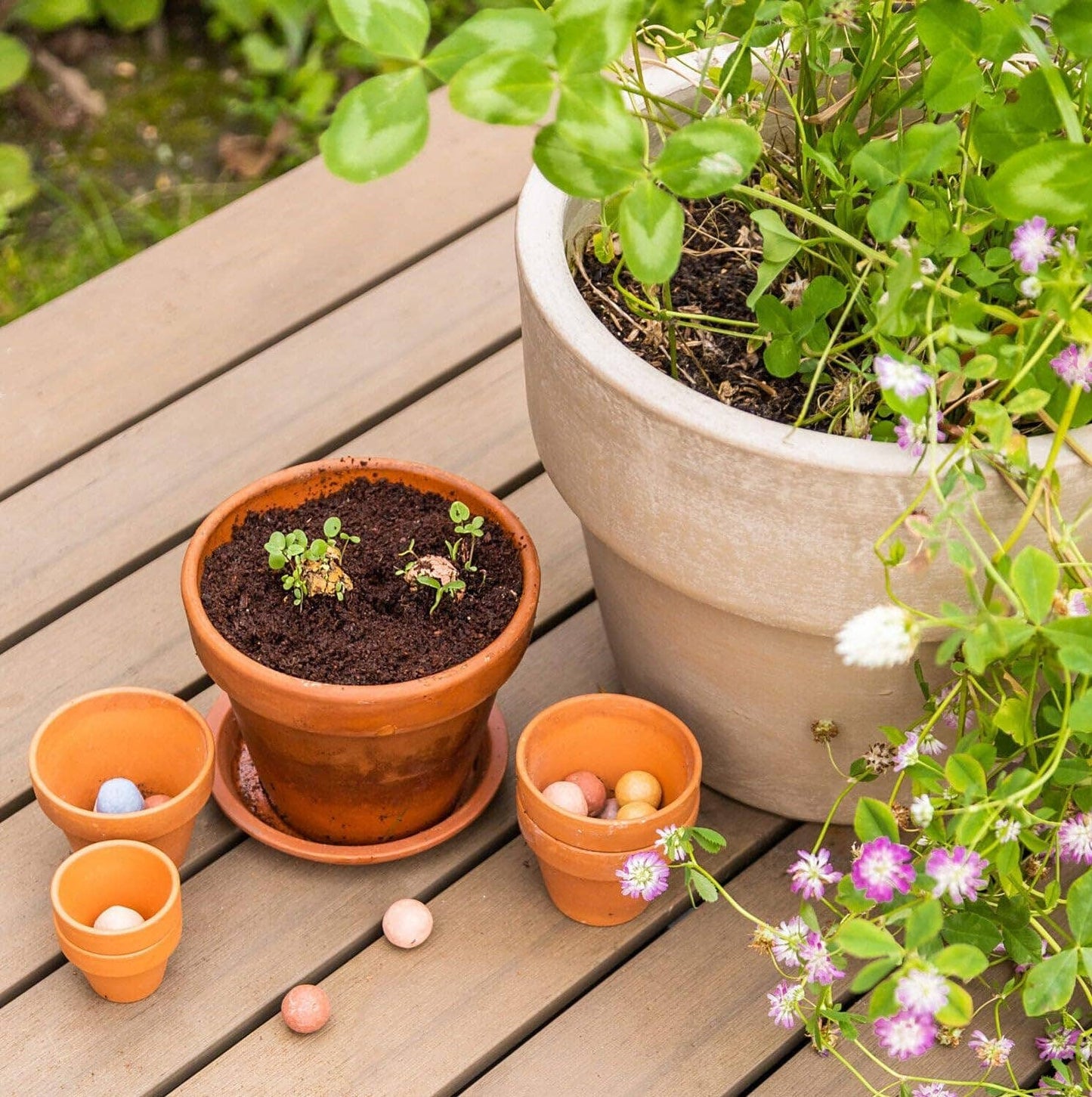 Buzzy Egg Carton It's Spring | Wildflower Seed Bombs | Gift Set