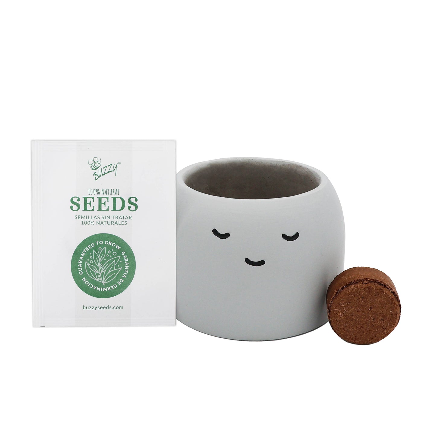 Buzzy Peaceful Pots 3pk | Indoor Herb & Succulent | Zen Garden