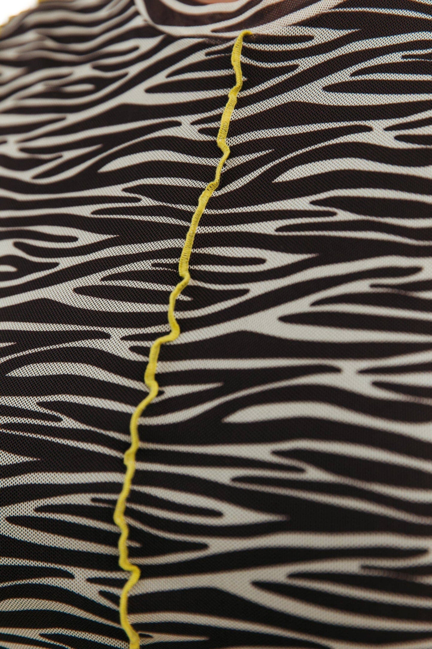 Colourful Rebel Maude Zebra Mesh Dress | Dark brown