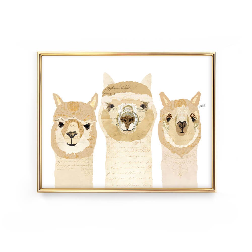 Lindsey Kay Three Alpacas Collage - Framed Art Print